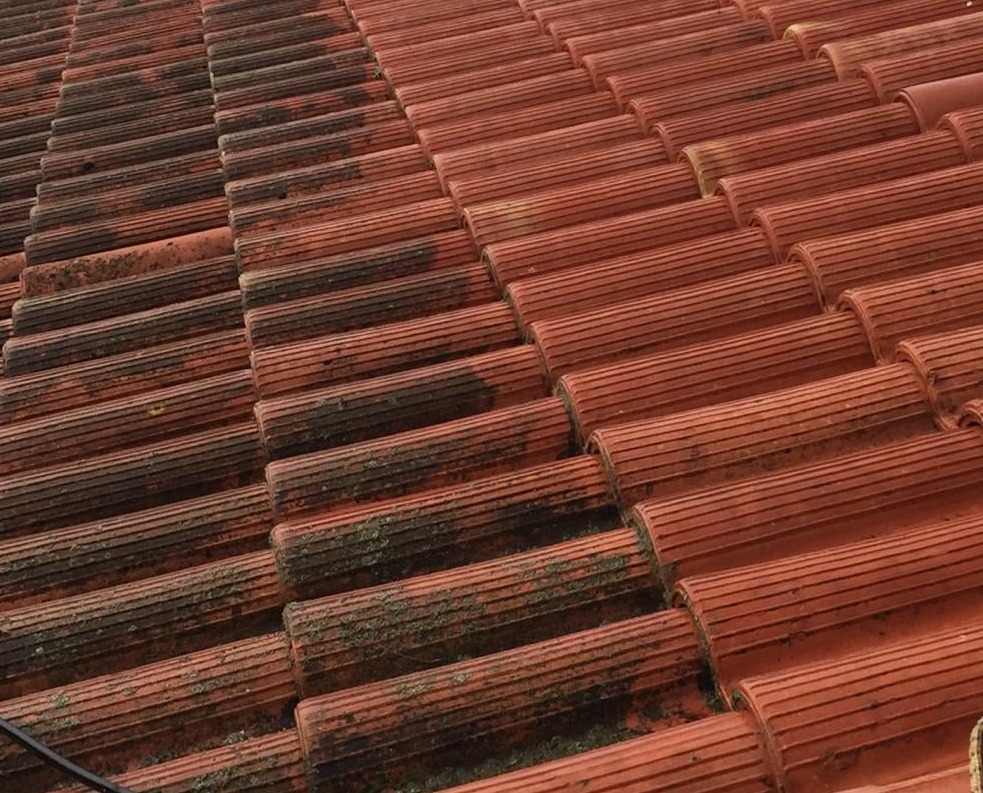 Nettoyage et Démoussage de Toiture