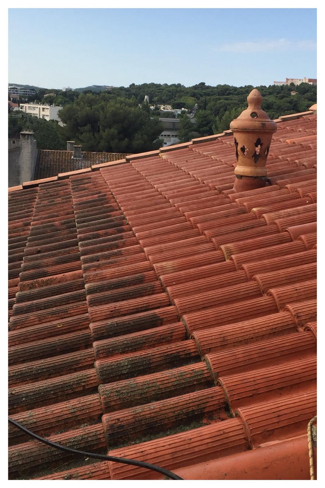 Démoussage de toiture